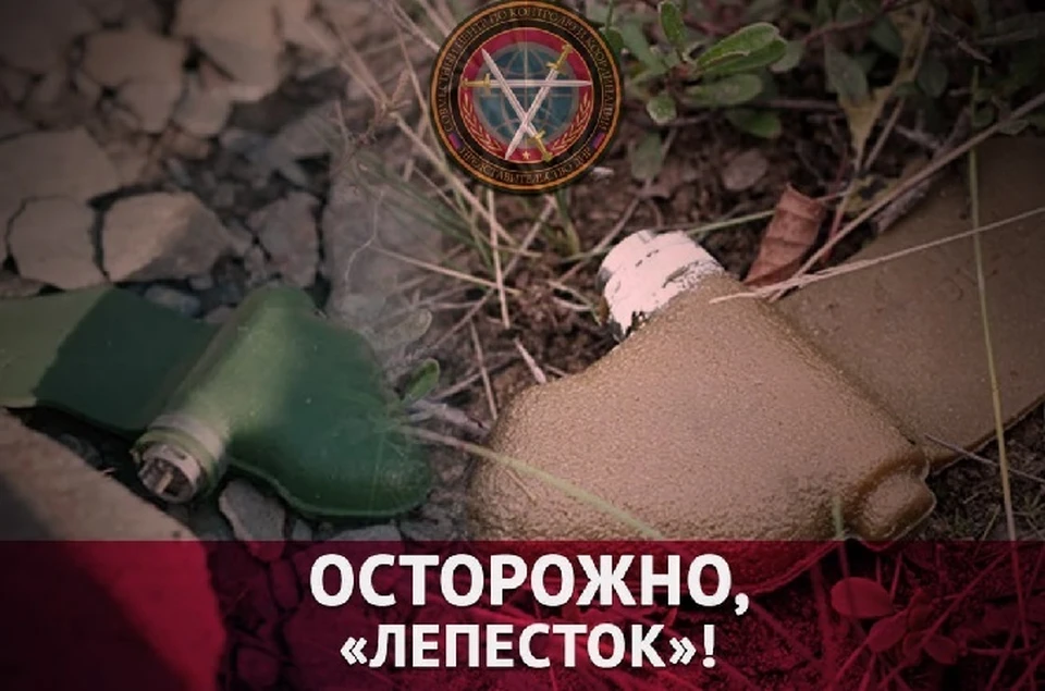 При обнаружении взрывоопасных предметов звоните в МЧС по номеру 101. Фото: СЦКК ДНР