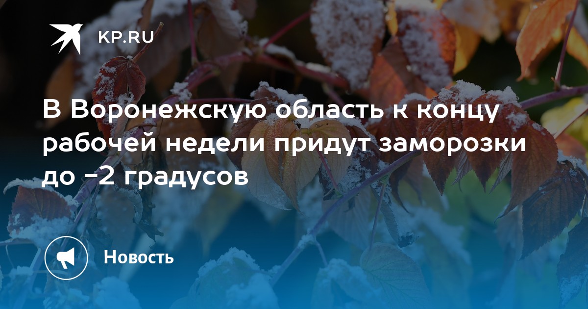 Заморозки в воронеже в ближайшие дни. МЧС предупреждает о заморозках в Калининградской области. 31 Октября первый снег. Осадки на 31 октября. Температура заморозки.