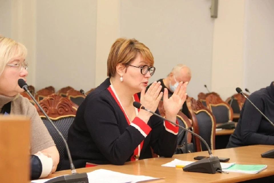 В Ростовской области все программное и аппаратное обеспечение имеется в наличии. Фото: сайт Ростовской гордумы.