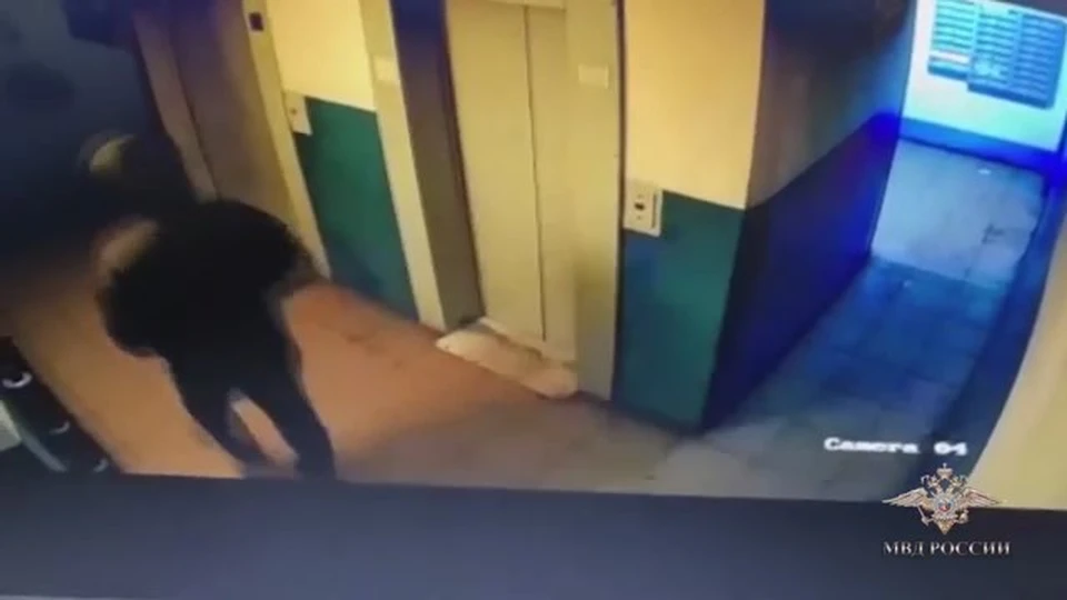 Стоп-кадр видео. Пресс-служба УМВД России по Омской области.
