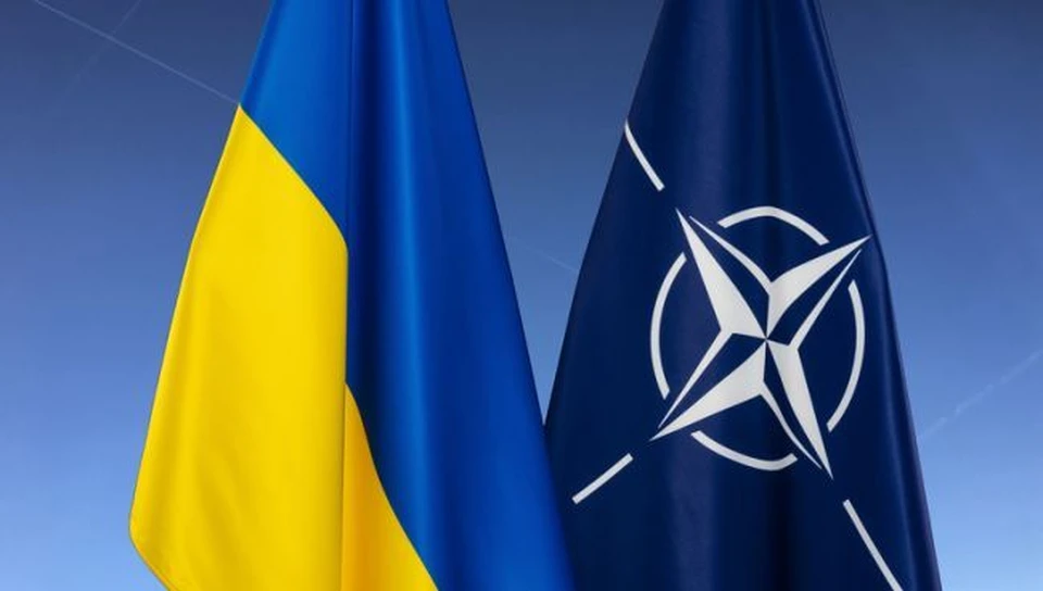 Власти Украины публично подтвердили информацию о прямом участии НАТО в военном конфликте в стране