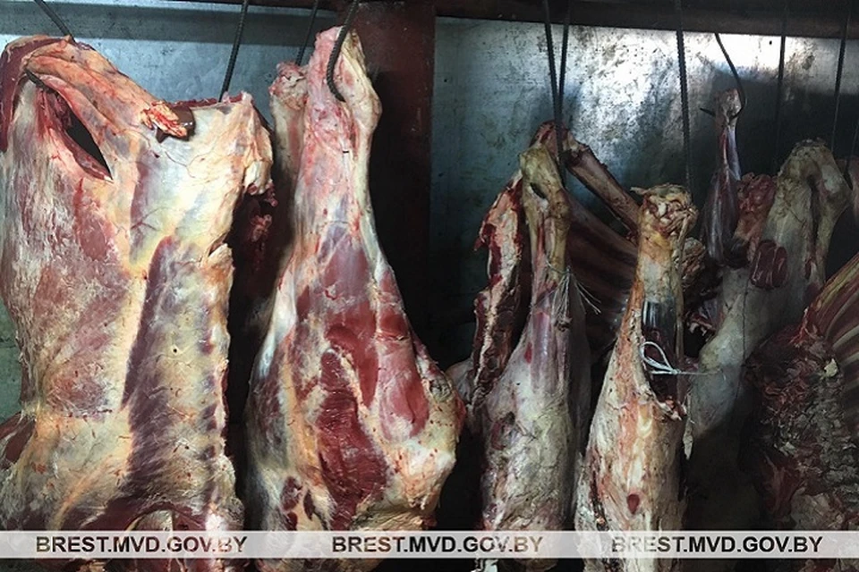 Мясо хранилось в таких условиях, что употреблять его потом в пищу было бы опасно. Фото: brest.mvd.gov.by