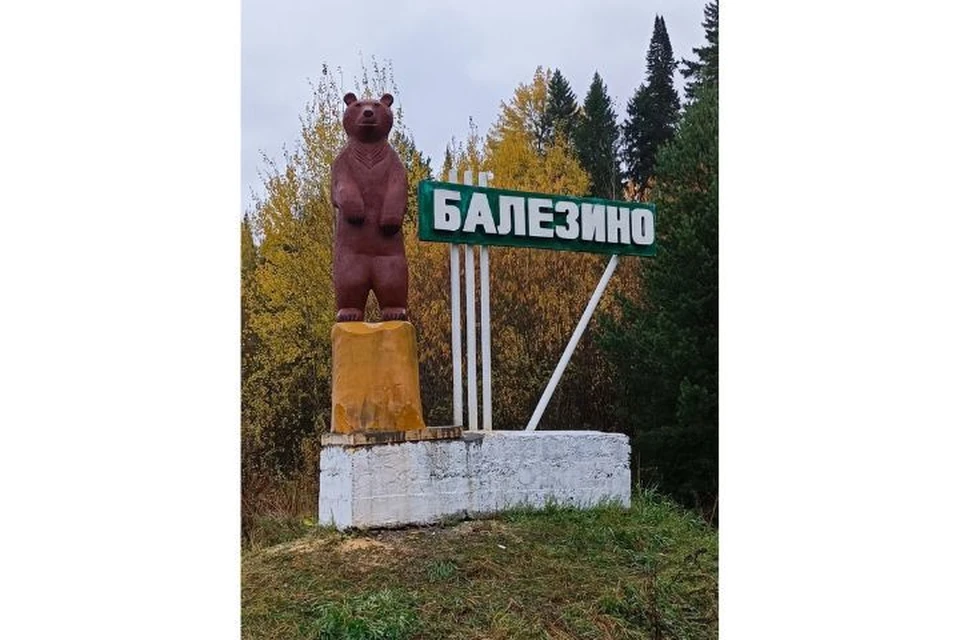 Ижевск балезино. Медведь с медвежатами Удмуртия. Плакат Удмуртия. Удмуртский медведь. Фото знака Балезино при въезде с медведем.