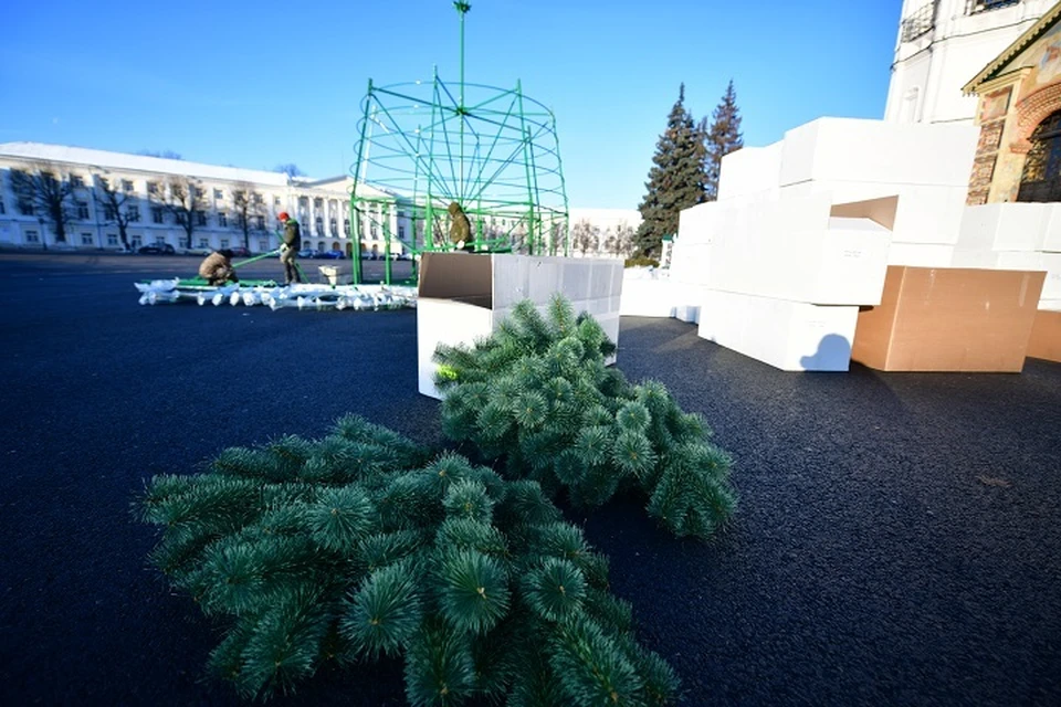 В Ярославле установят новогоднюю елку на Советской площади