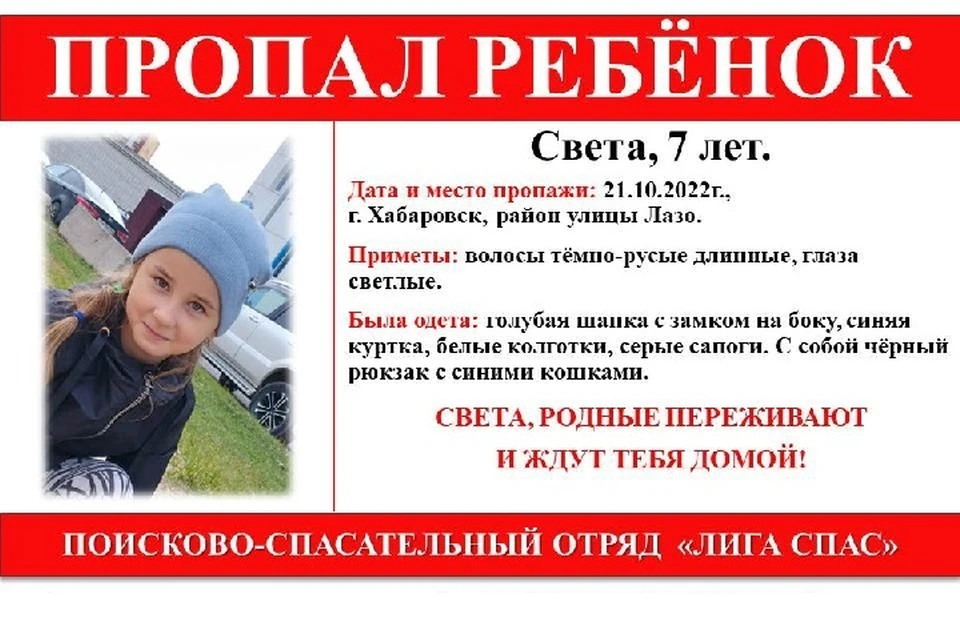 Семилетняя девочка бесследно пропала в Хабаровске Фото: @liga_spas