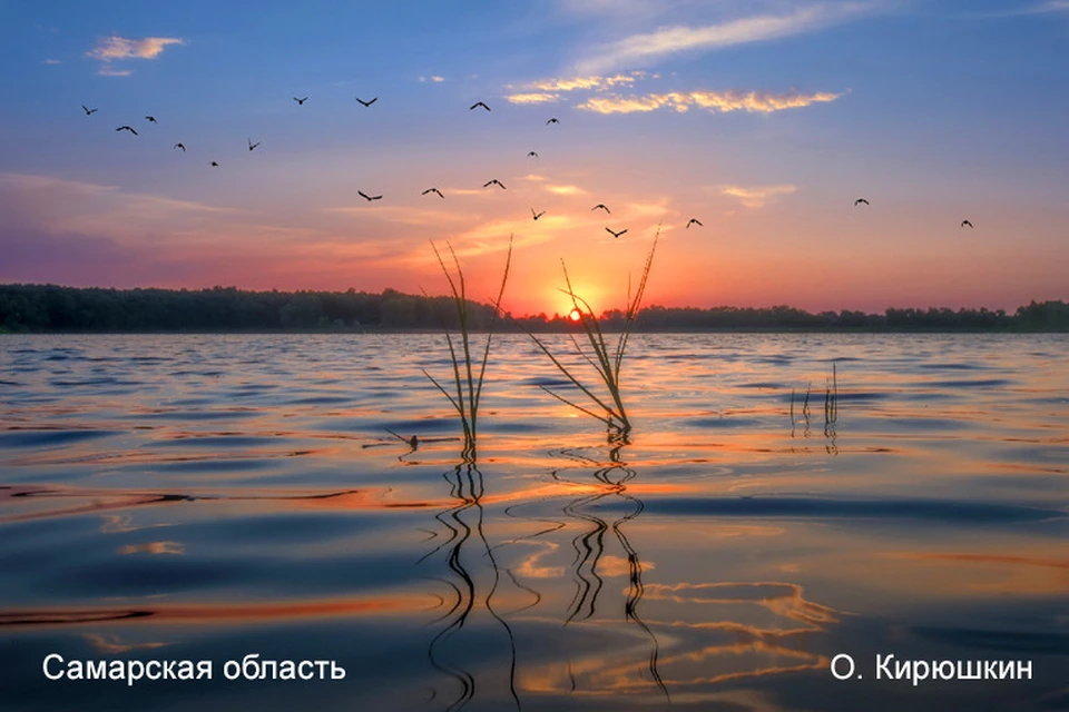 Посмотреть экспозицию сможет каждый желающий ежедневно с 9:00 до 22:00. Фото: О. Кирюшкин