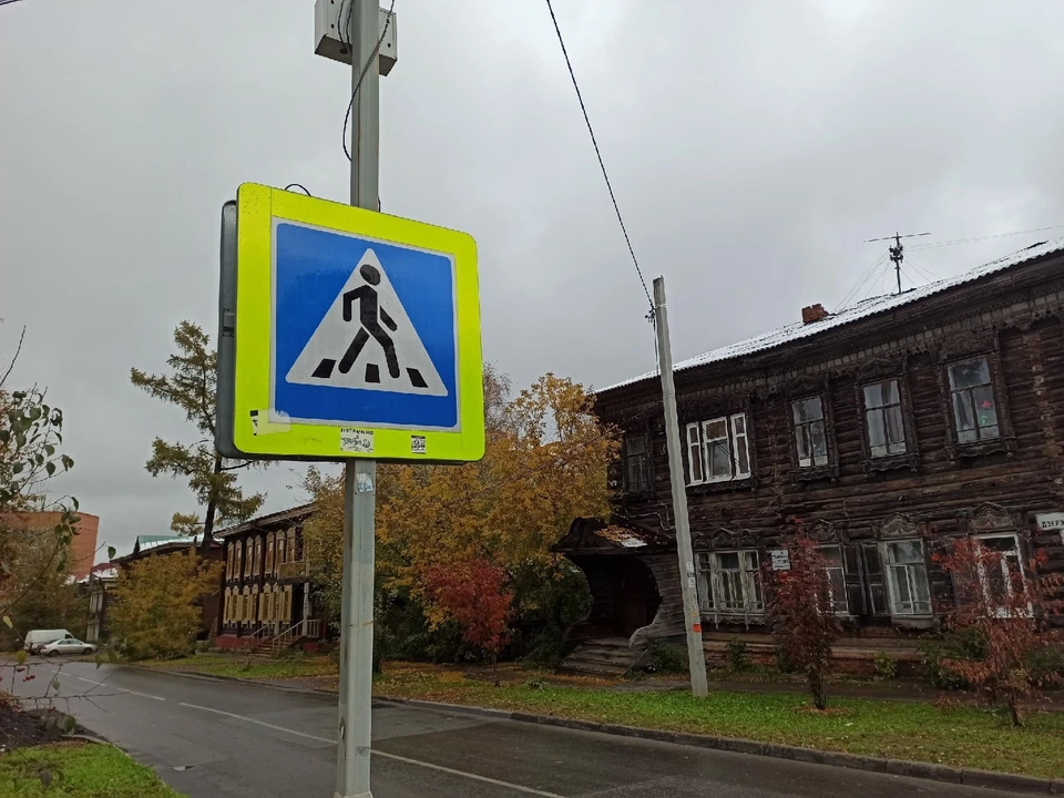 Воскресный ураган в Томске повалил 11 деревьев и повредил 4 светофора.