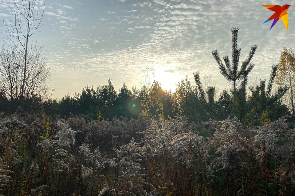 Вот как глобальное потепление сказалось на погоде в Беларуси. Фото: Кира ИВАНОВА