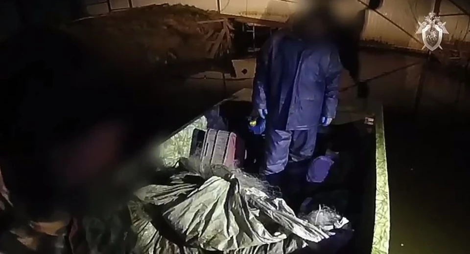 В сетях оказалось порядка 450 килограммов рыбы