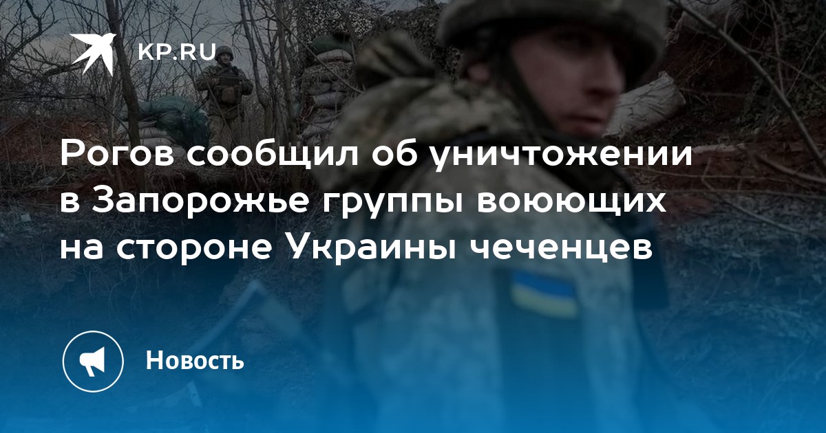 Рогов сообщил об уничтожении в Запорожье группы воюющих на стороне Украины чеченцев