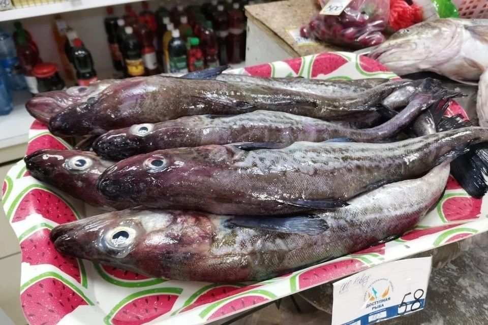 В Южно-Сахалинске 31 октября продается свежая рыба по социальным ценам. Фото регионального правительства