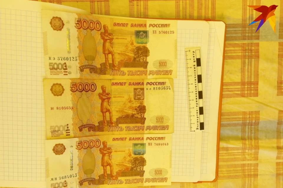 За сокрытие нарушения продавец предлагал полицейскому 15 тысяч рублей. Фото: СКР по Мурманской области