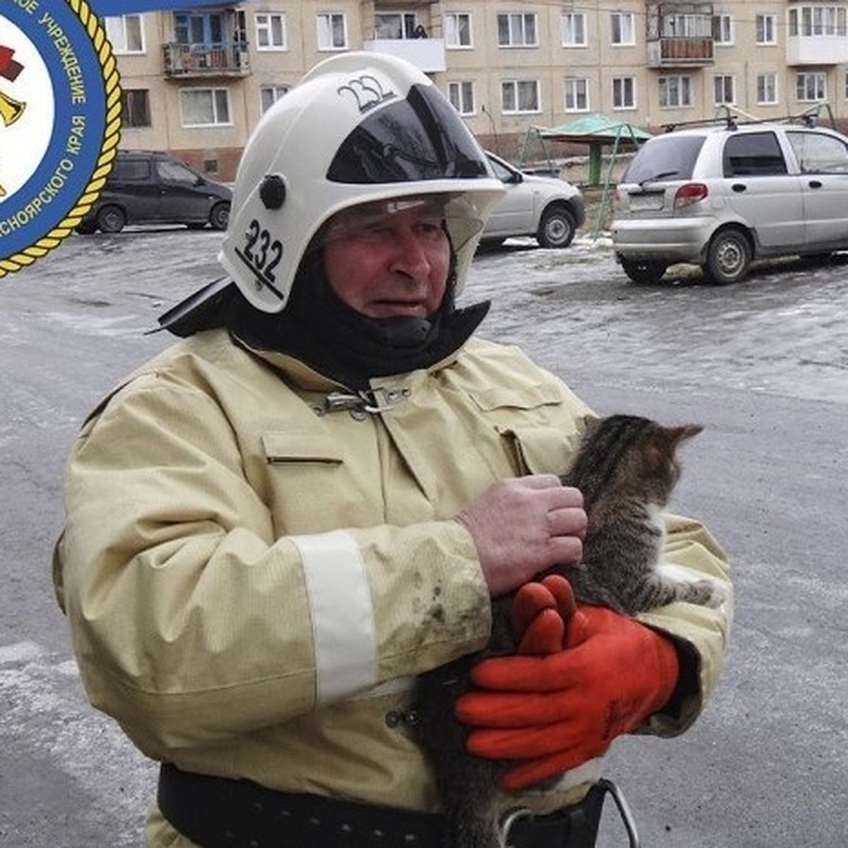 Три дня жалобно мяукал на теплотрассе: в Красноярском крае начальник  пожарной части спас потерявшегося котенка - KP.RU