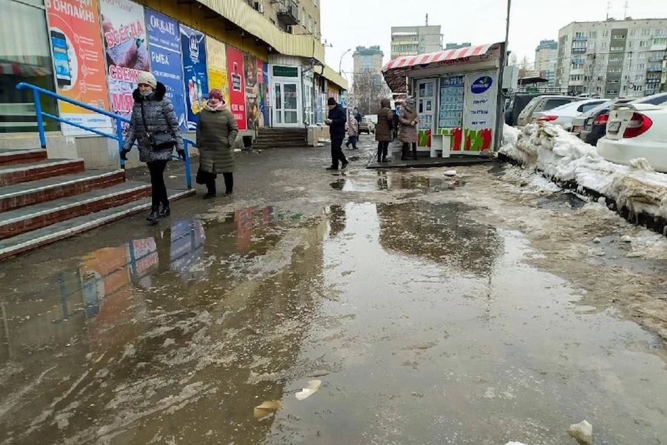 Проверка выявили более 40 нарушений. Фото: прокуратура НСО