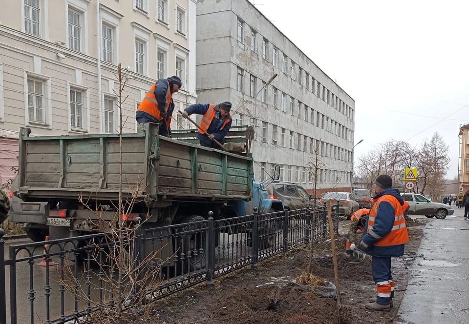 Фото: пресс-служба мэрии Омска
