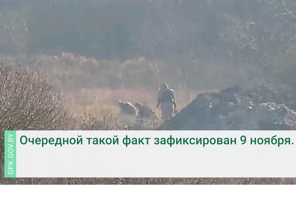 В ГПК показали, как Беларуси украинские военные минируют зеленую границу вблизи Беларуси. Фото: стоп-кадр | видео ГПК