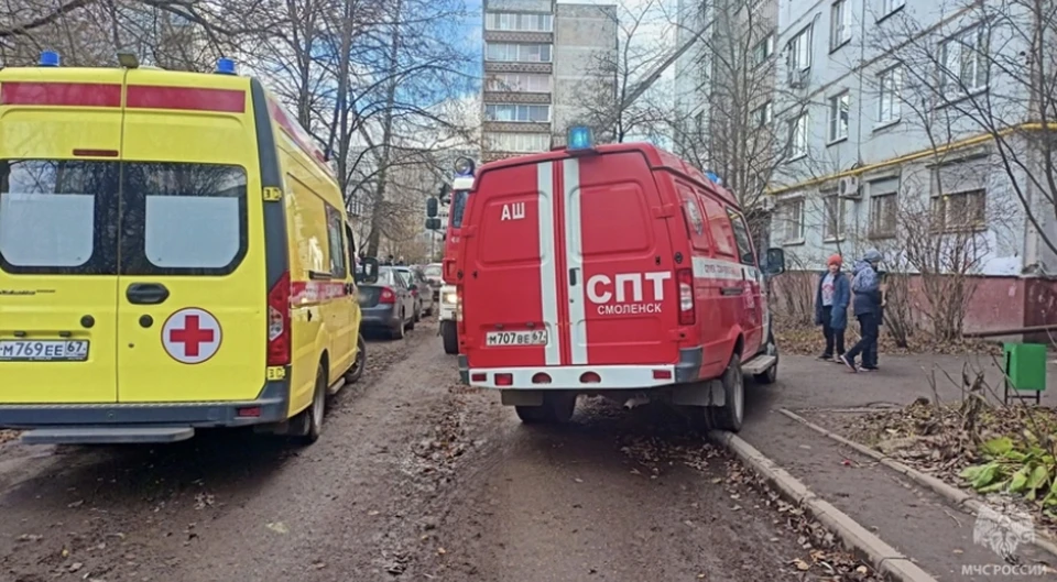 Смолянку госпитализировали после пожара в девятиэтажке на улице Петра Алексеева. Фото: пресс-служба ГУ МЧС по Смоленской области.