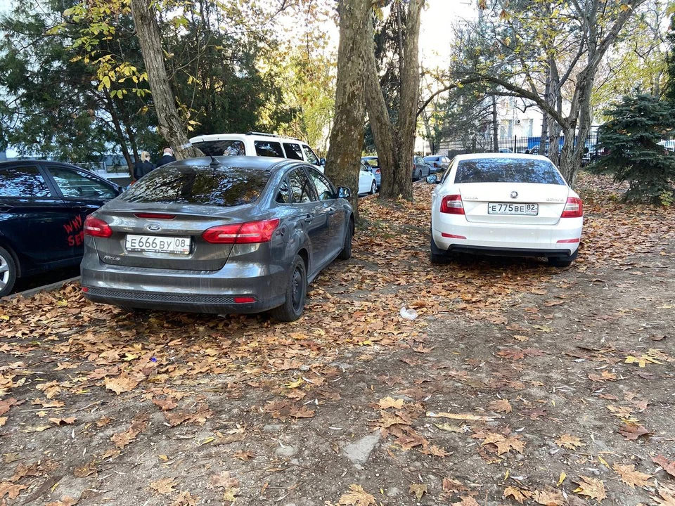 Фото: пресс-служба администрации Симферополя