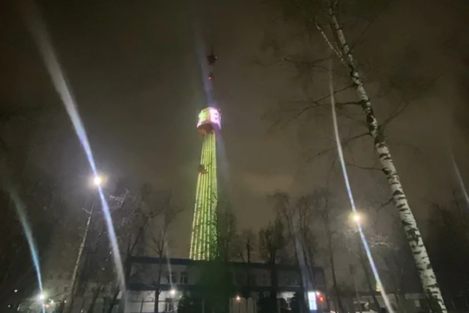 Ярославль принял участие в акции «Сохраним лес»