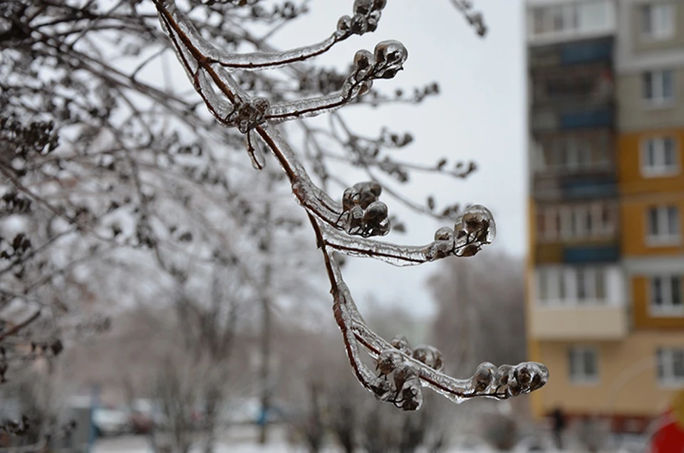 Нижний Новгород приходит в себя после ледяного дождя 23 ноября.