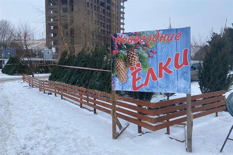Фото: администрация Красноярска