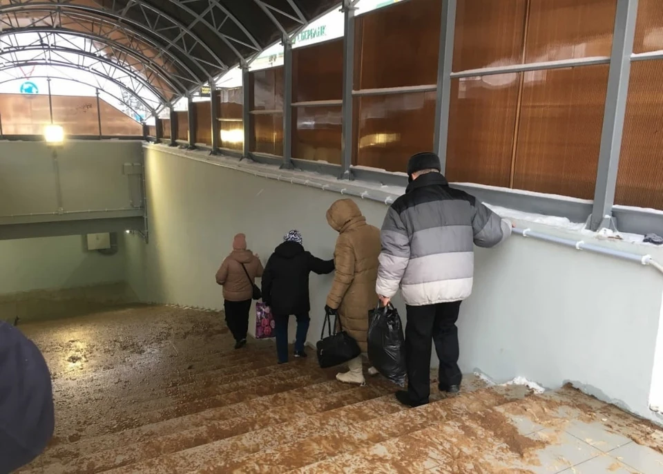 Фото: Владимир Павлов
