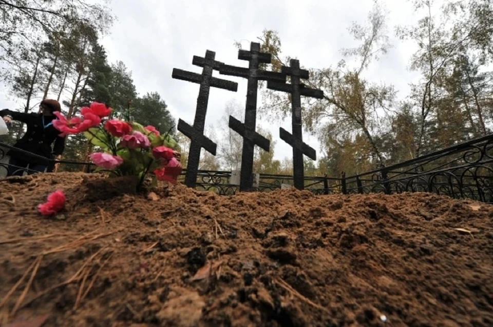 Участок на кладбище в Новочеркасске зарос травой, поверх которой лежит поваленное сухое дерево.