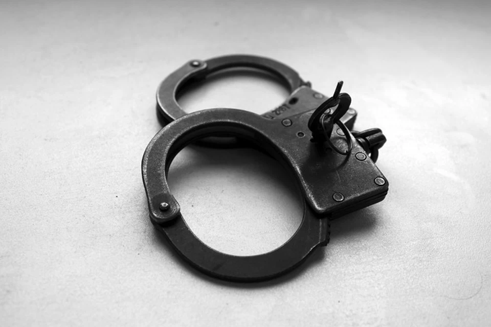 Всех взяли под стражу прямо в зале суда