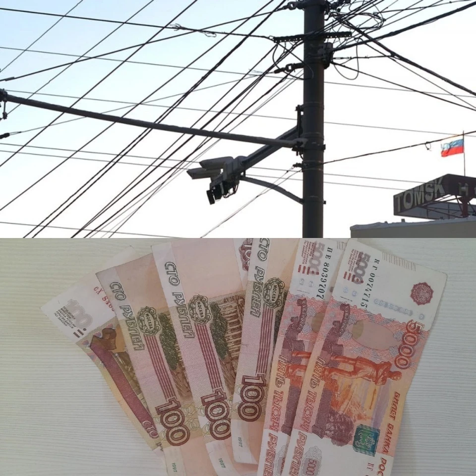 Фото: Пресс-служба УМВД России по Томской области/Алёна Голева