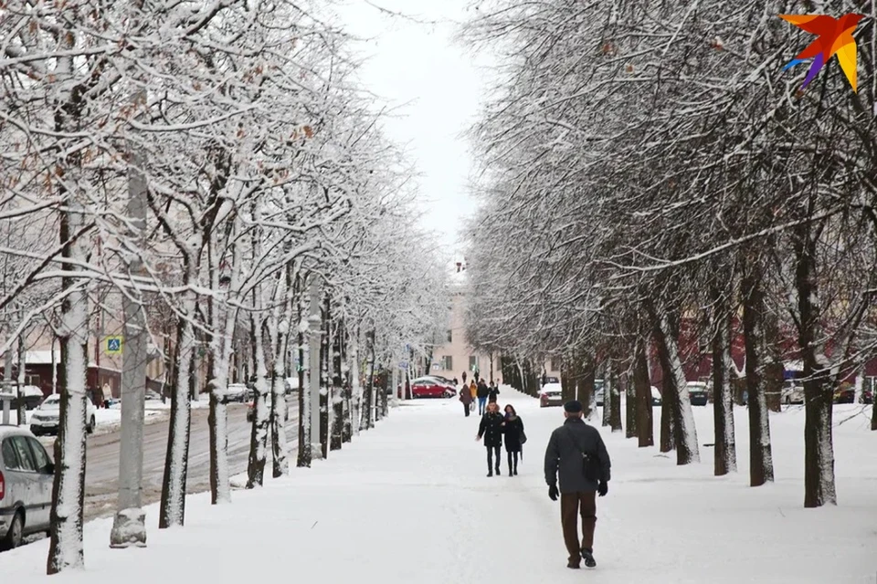 В Беларуси на неделе с 5 по 11 декабря ожидаются морозы до -19 градусов.