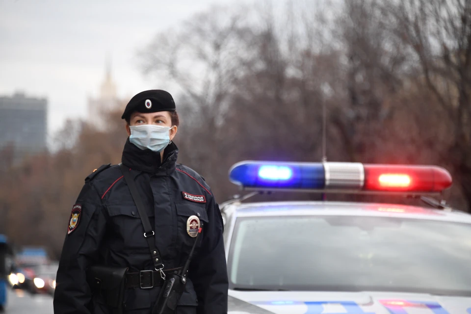 Четверых участников массовой драки в Новой Москве доставили в полицию