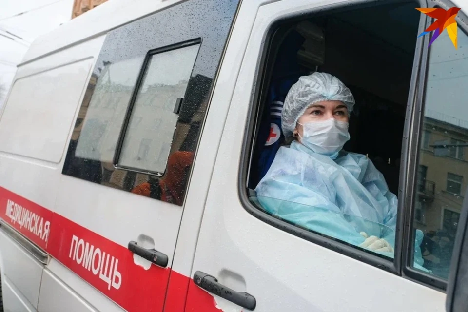 Рысь, напавшая на двух человек под Могилевом, была больна бешенством.