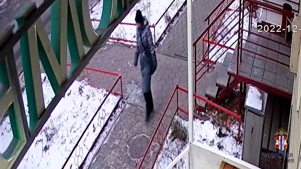 Фото: скриншот видео, предоставленного УМВД России по Омской области