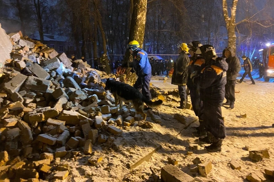 Поисковые собаки помогали сотрудникам МЧС искать людей под завалами. Фото: пресс-служба МЧС по Рязанской области.