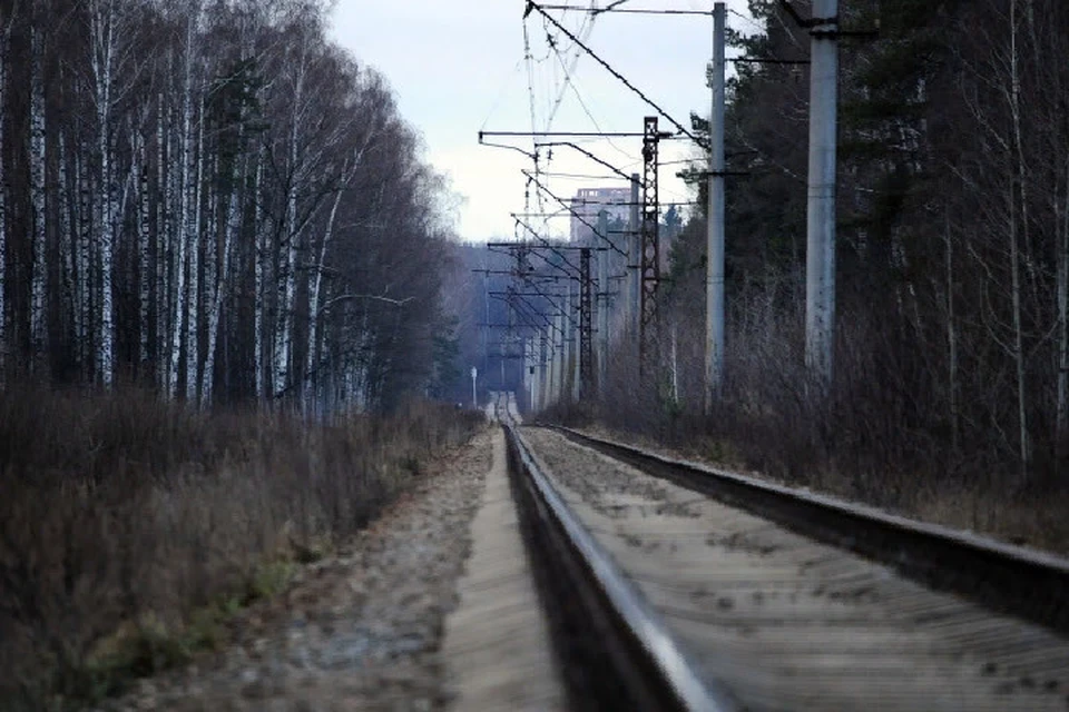 Железнодорожный транспорт всегда являлся важным звеном для Донбасса