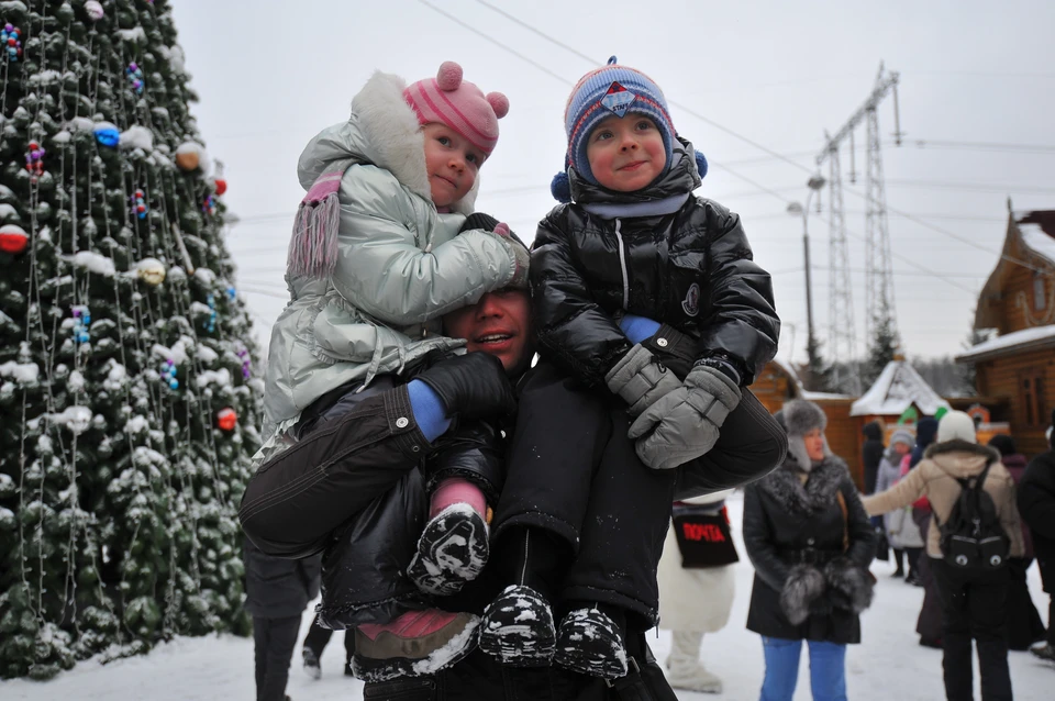 В Ульяновской области бесплатные участки для многодетных будут распределять по новым правилам