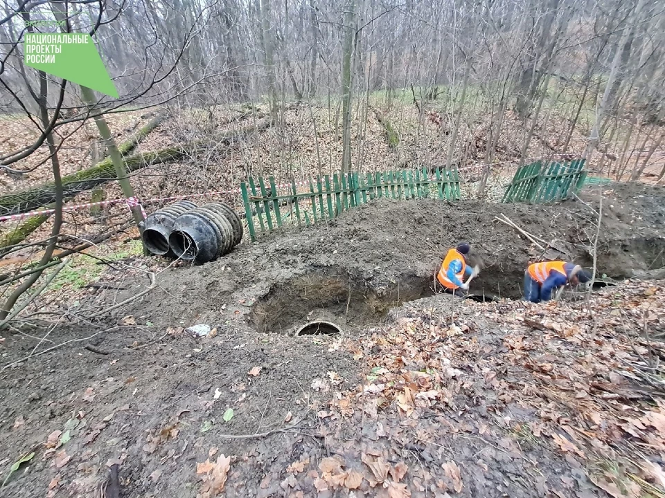 ФОТО: группа в ВК минприроды Ульяновской области