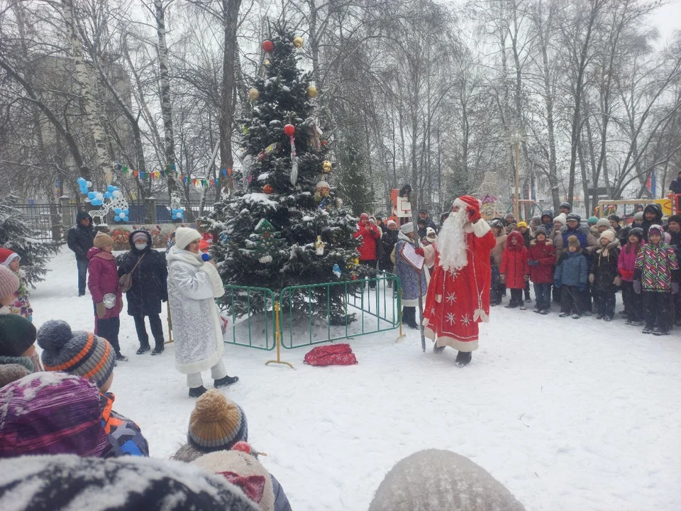 Фото: Дирекция парков Ульяновска.