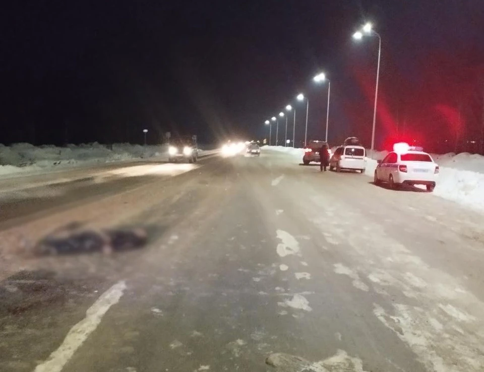 Проводится проверка. Фото: 1 отдел УГИБДД по МВД
