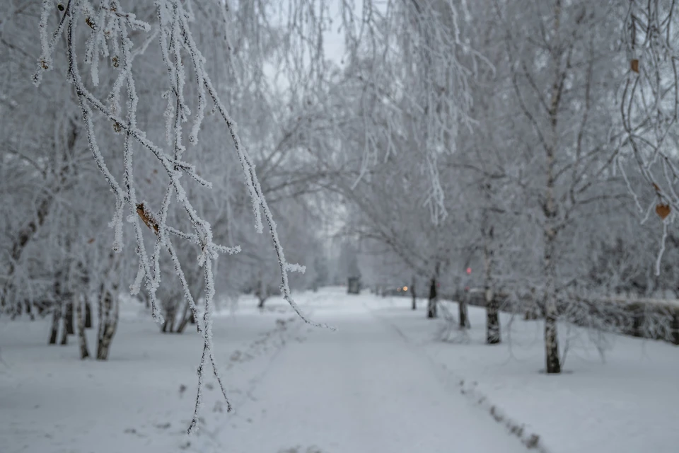 Погода в декабре тепло