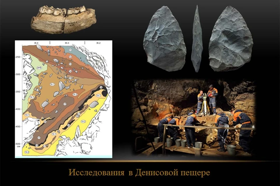 Раскопки в Денисовой пещере. Фото из презентации Михаила Шунькова