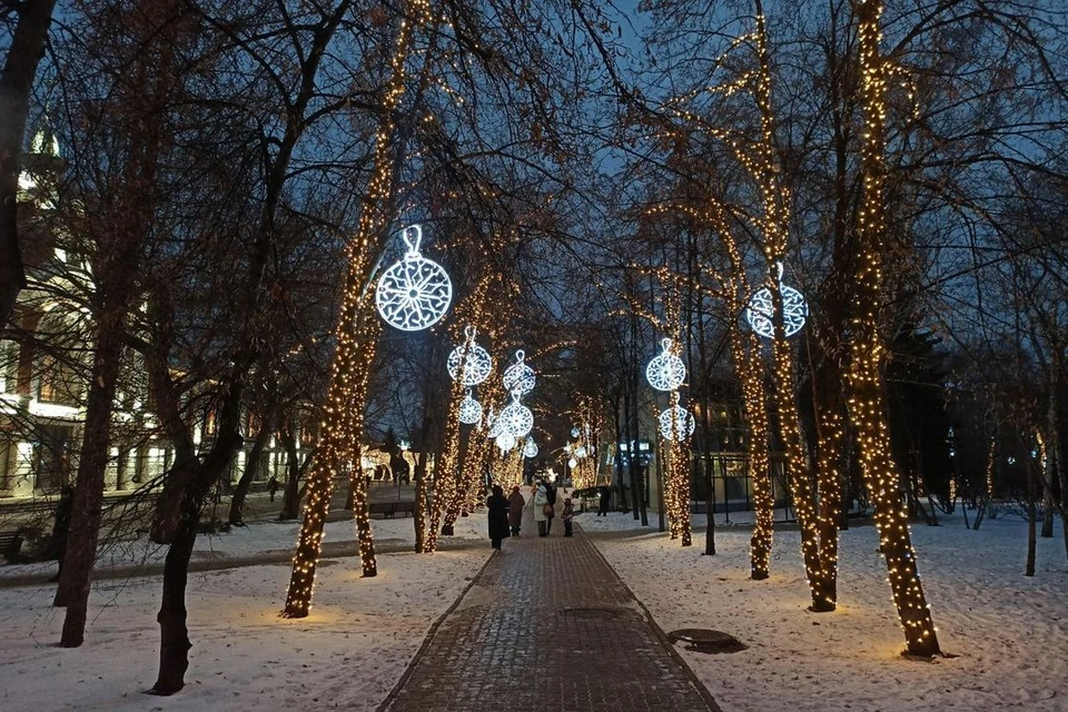Сибирячке показалось, что в городе мало развлечений для детей.