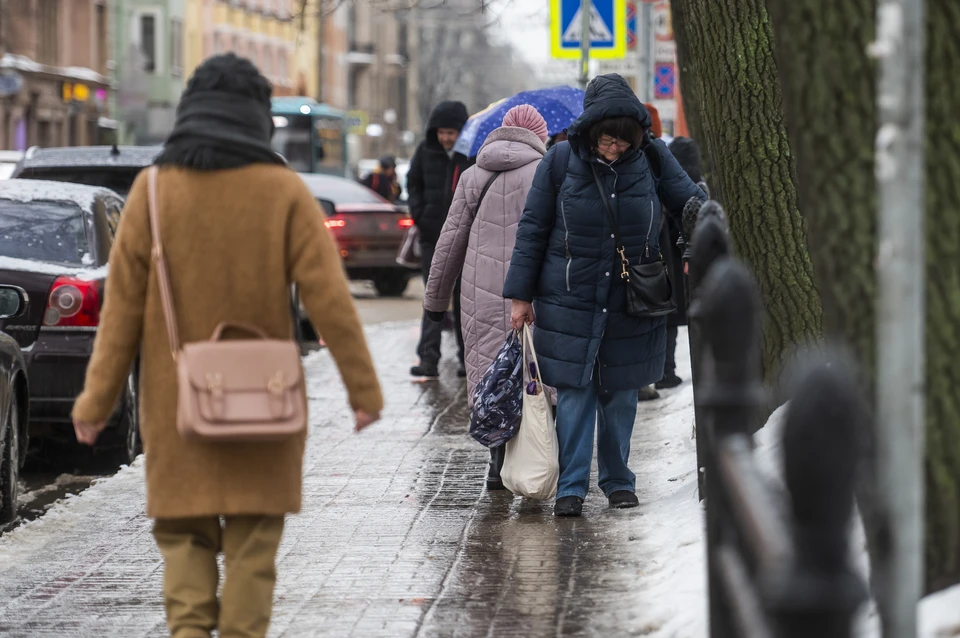 Оттепель и дождь ожидается в Петербурге и Ленобласти