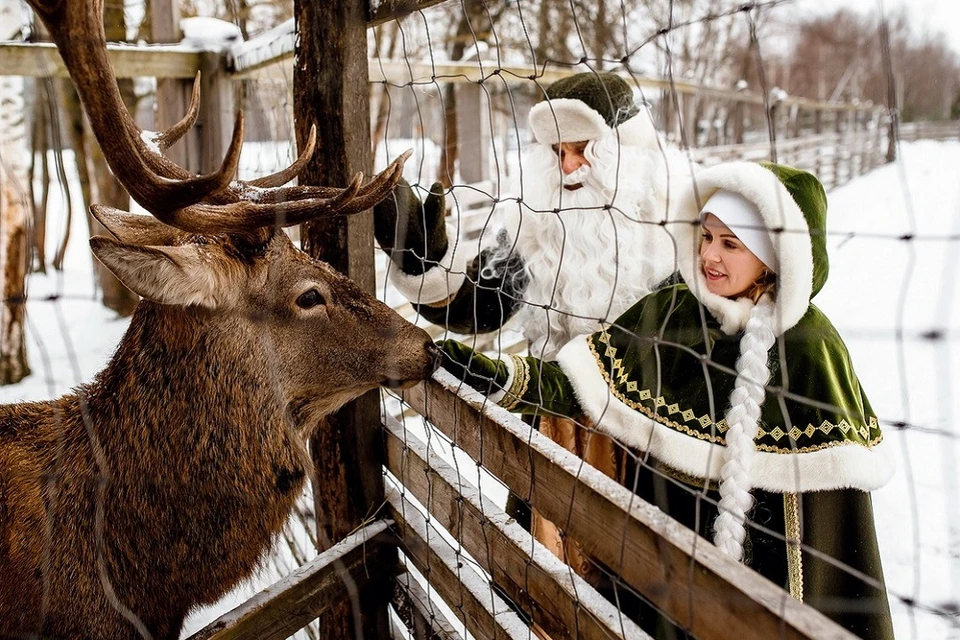 Путешествие по Беларуси никого не оставит равнодушным. Фото: Национальный парк "Припятский"