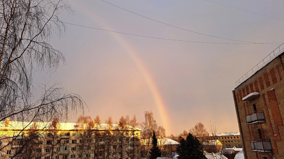 Фото: соцсети