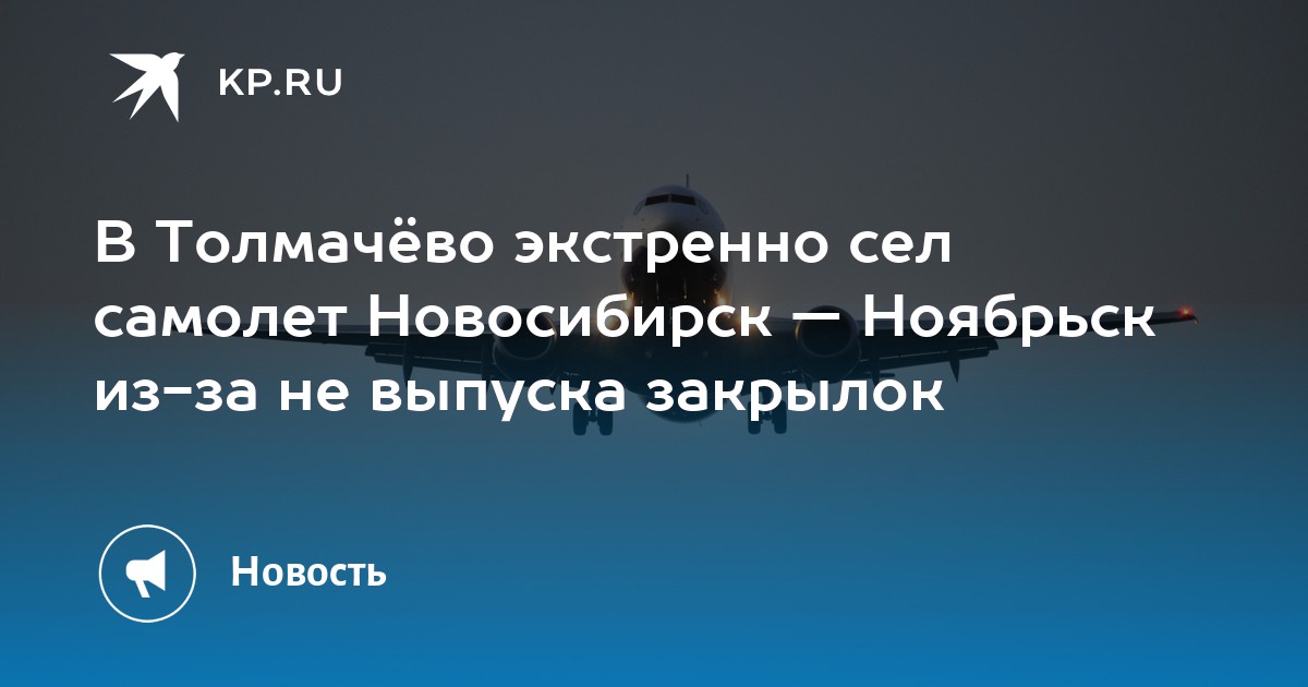 Рейс новосибирск ноябрьск. Пожар в Толмачево Новосибирск. Приземлился самолет с мертвыми пассажирами.