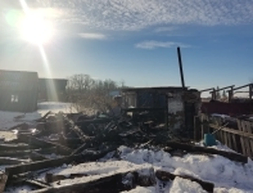 Фото: СК РФ по Омской области.