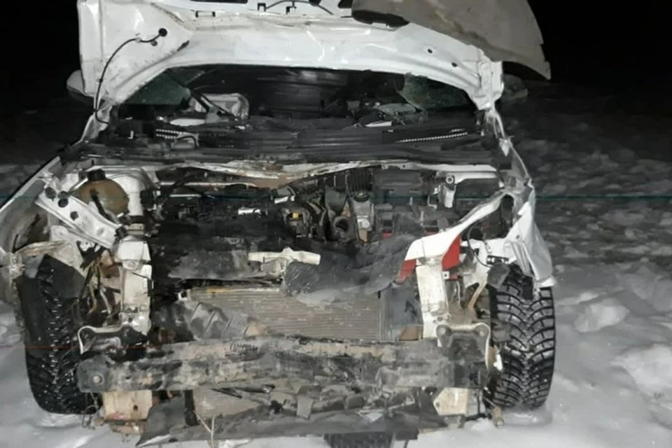 Лошадь погибла от удара