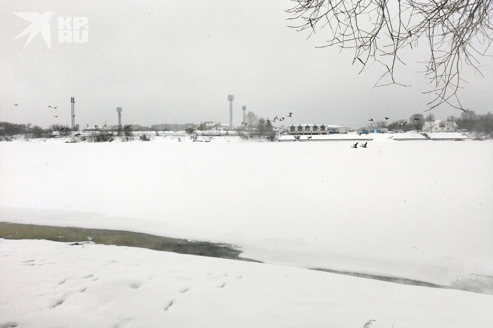 Главное управление МЧС России по Тверской области распространило ...