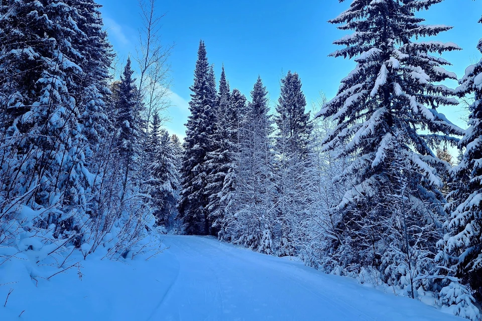 Погода в Югре на неделю с 9 января по 15 января 2023 года: морозы усилятся